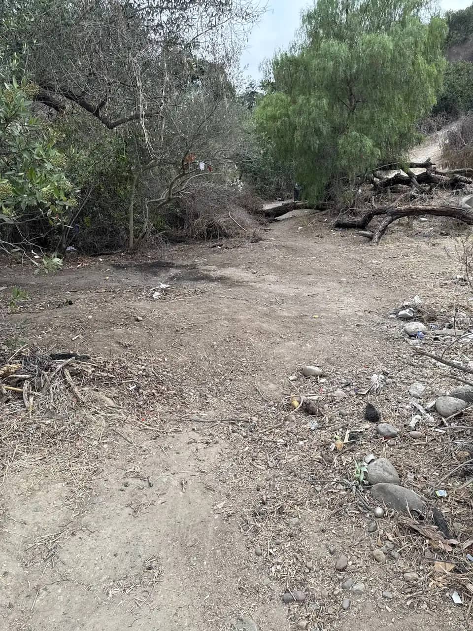 Hillside yard cleared down to bare dirt after an ARC cleanup