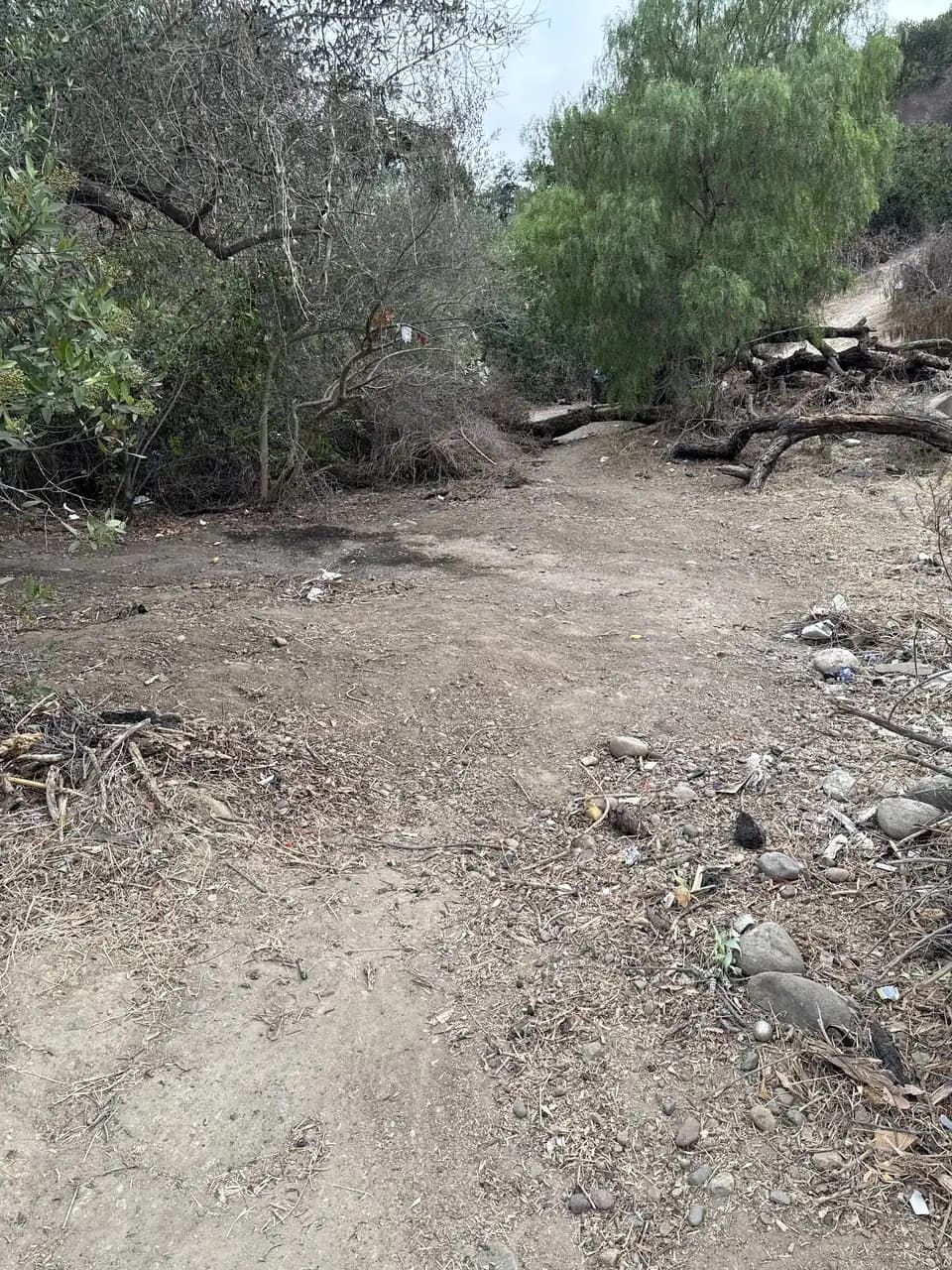 Hillside yard cleared of brush and debris down to bare dirt